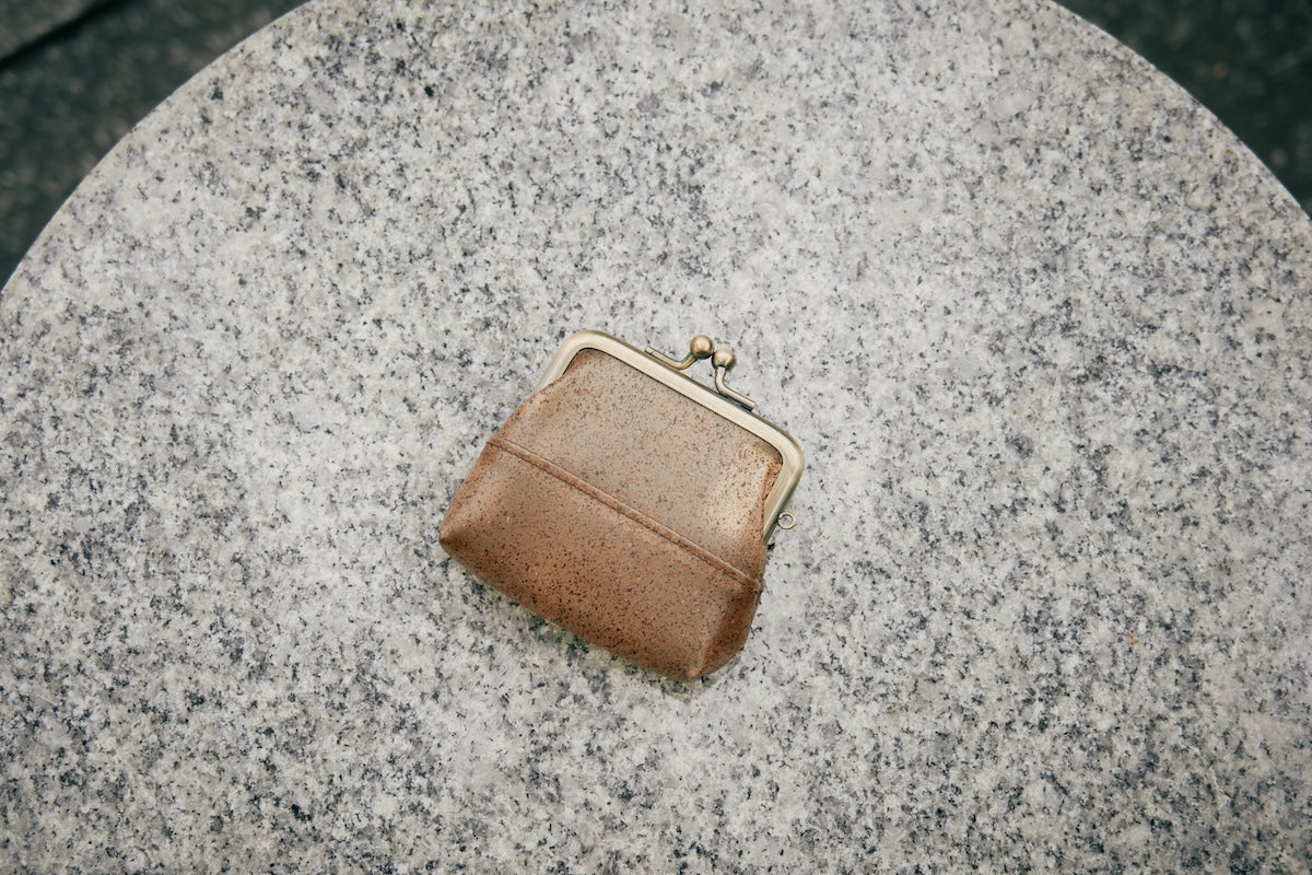 Adam Coin Case