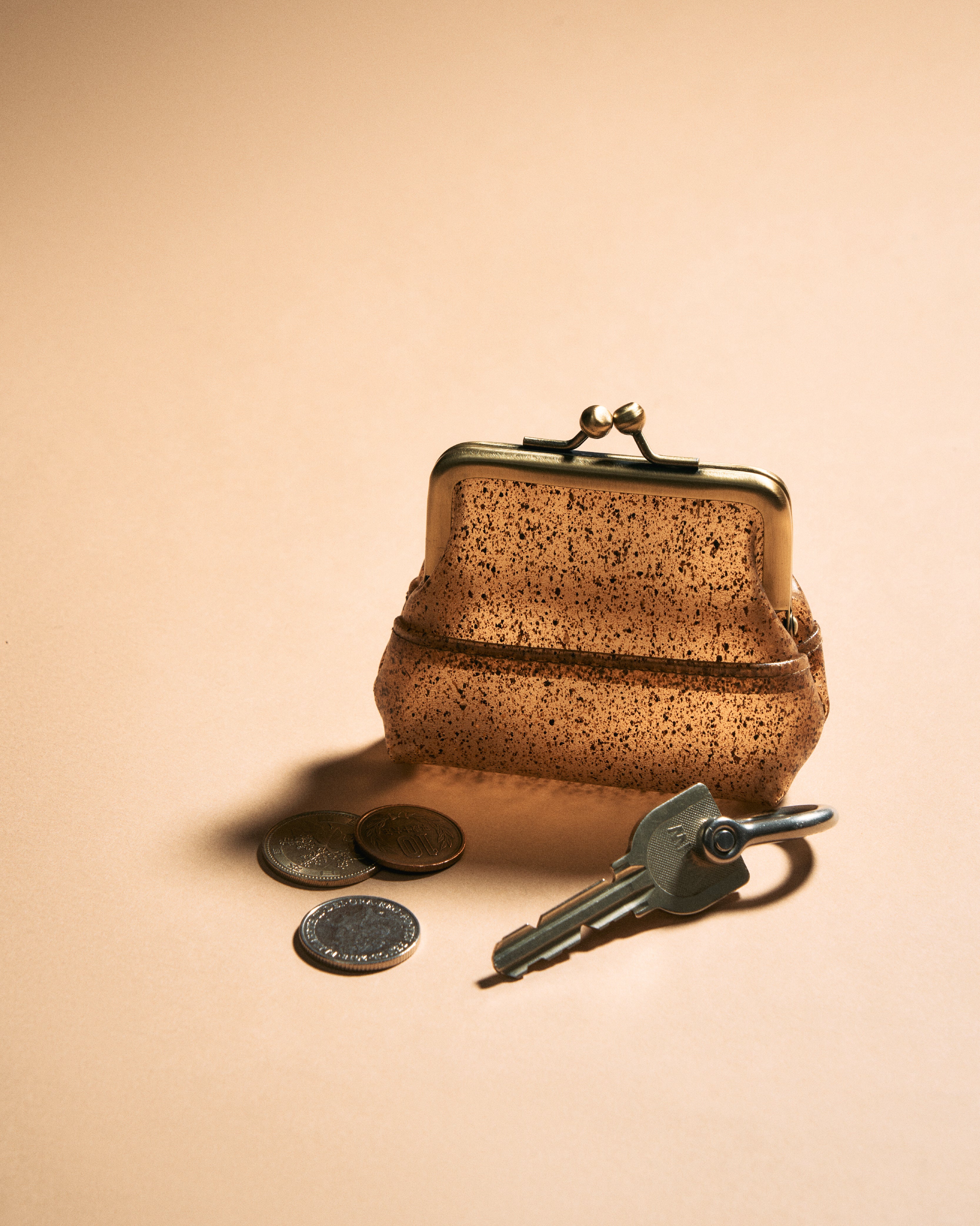 ADAM ケース Adam Coin Case