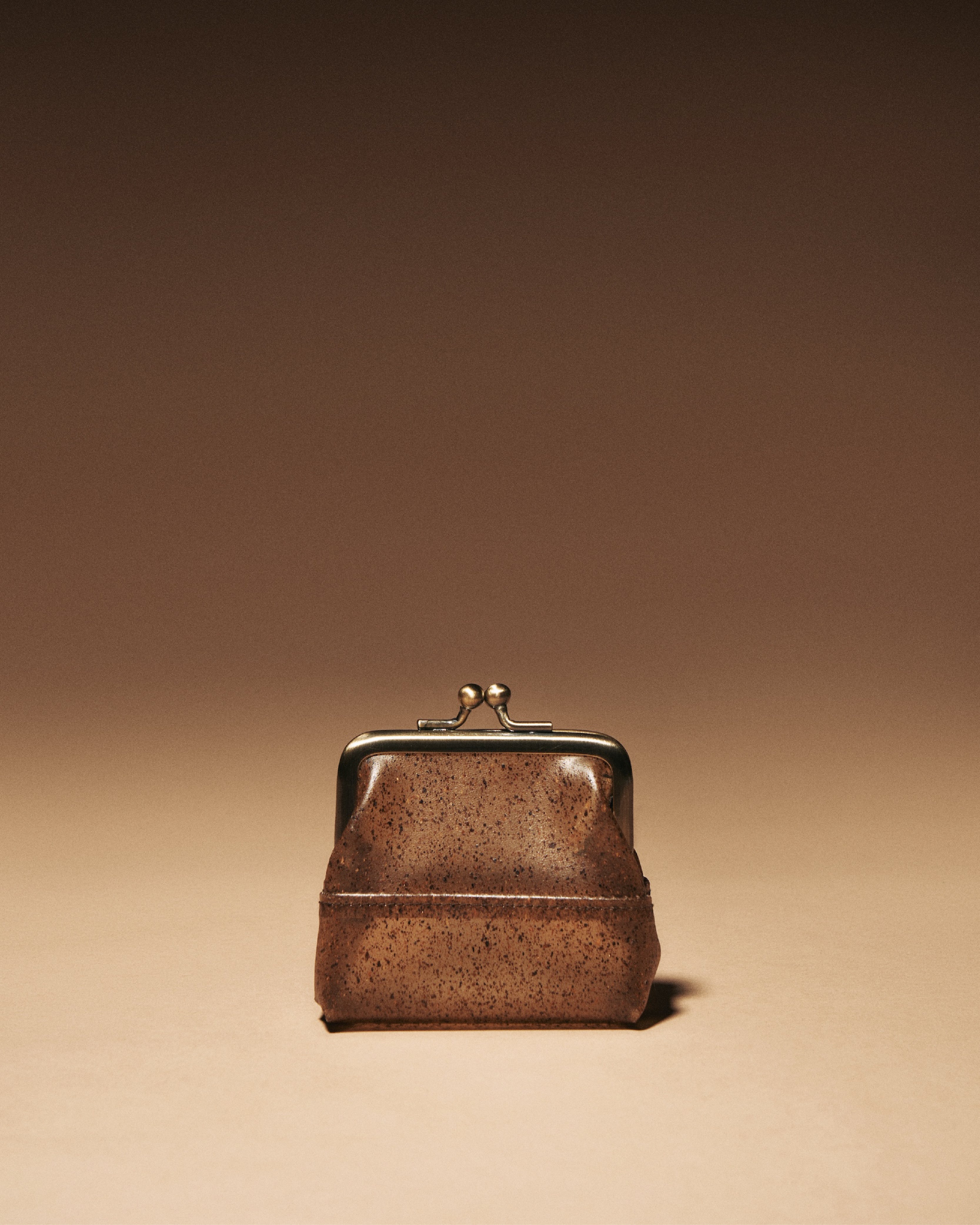 ADAM ケース Adam Coin Case