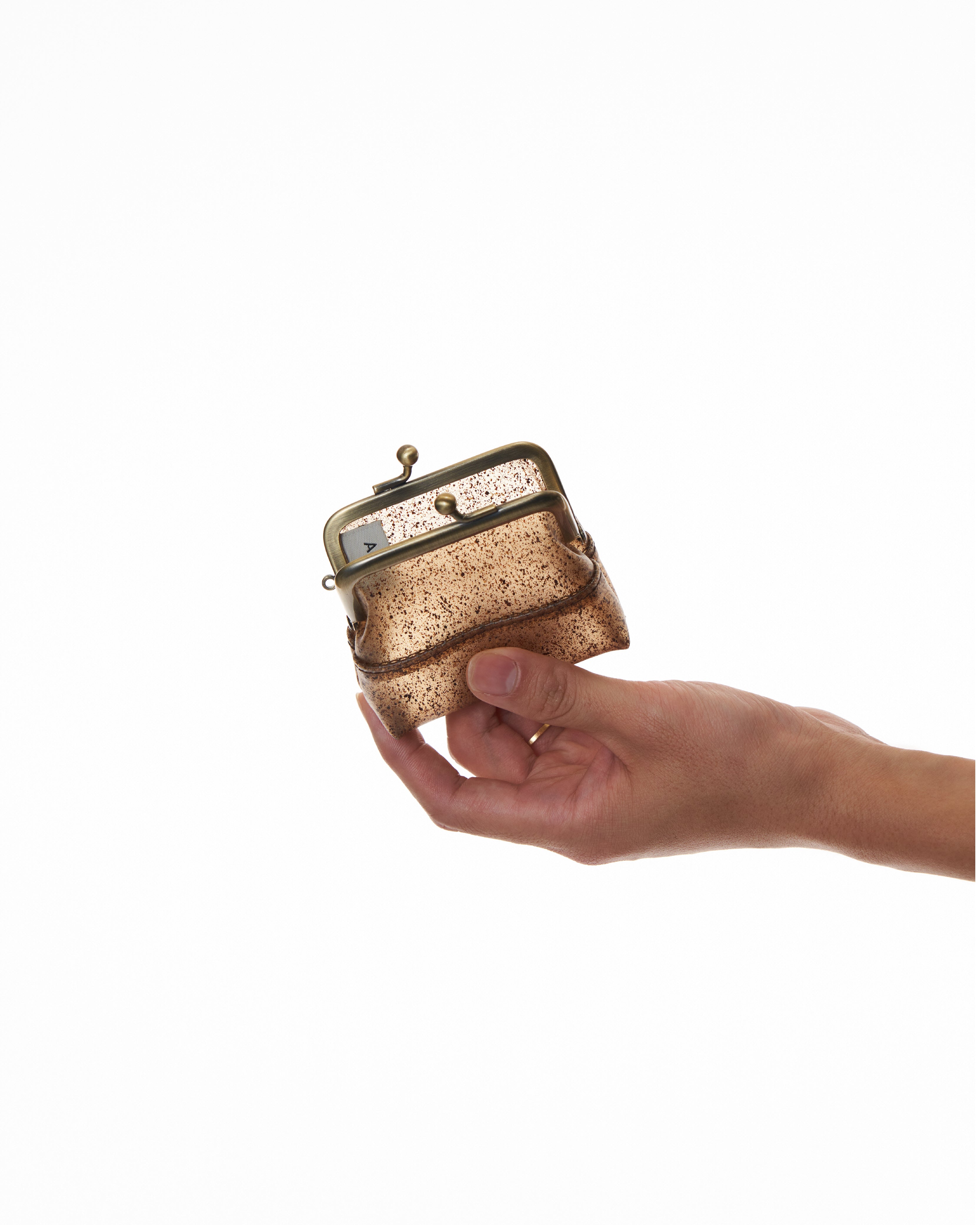 Adam Coin Case
